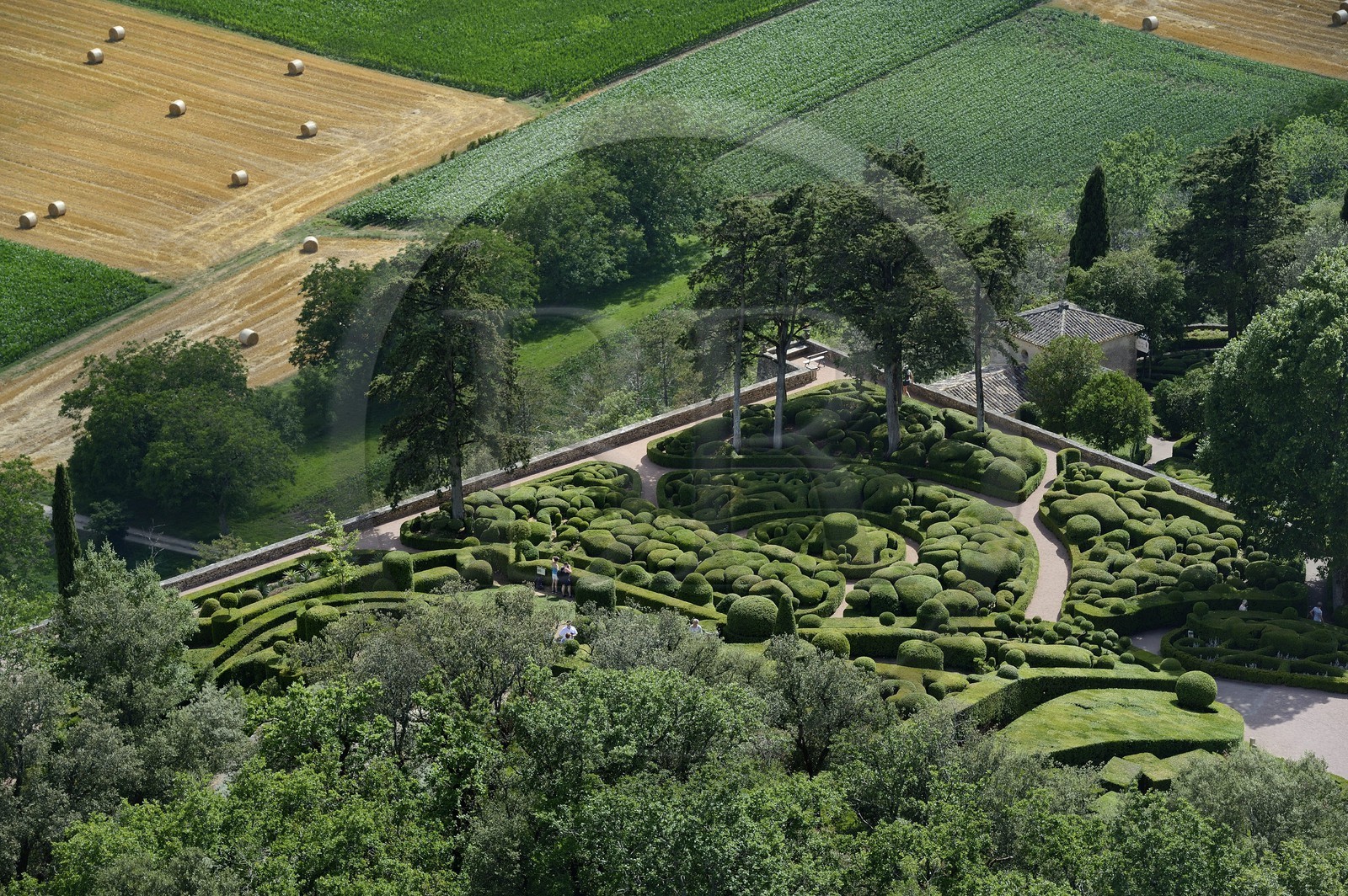 France, Dordogne (24), Périgord Noir, vallée de la Dordogne, Vézac, les jardins du château de Marqueyssac du XVIIIe siècle (vue aérienne)
