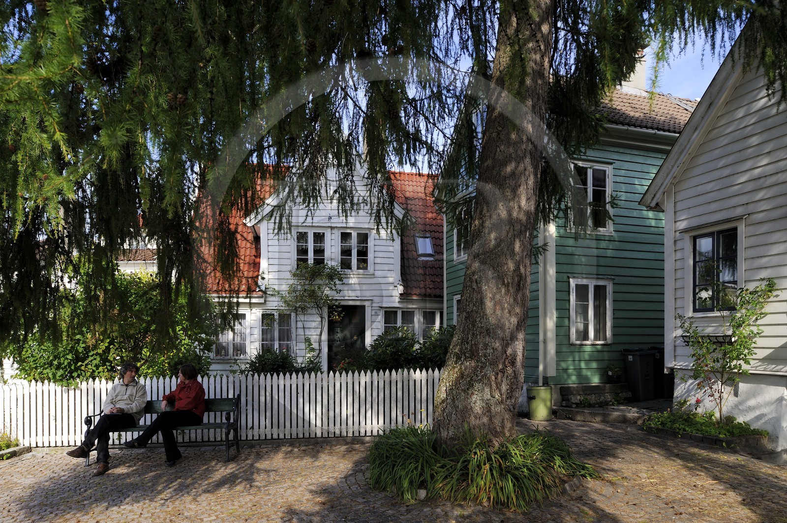 Norvège, Hordaland, Bergen, maisons en bois du quartier de Rosegren