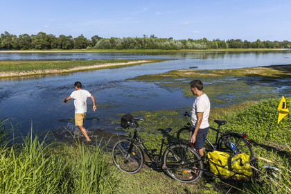 France, Maine-et-Loire (49), vallée de la Loire classée au Patrimoine Mondial par l'UNESCO, Saumur vers Saint-Hilaire, bancs de sable formant des îles sur la Loire, randonnée à bicyclette sur les berges de la Loire