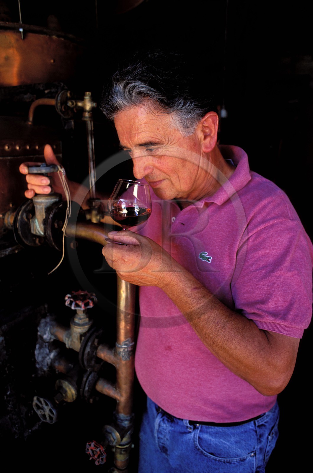 France, Gers (32), Eauze, le domaine de Lagajan Constantin Georgacaracos, producteur