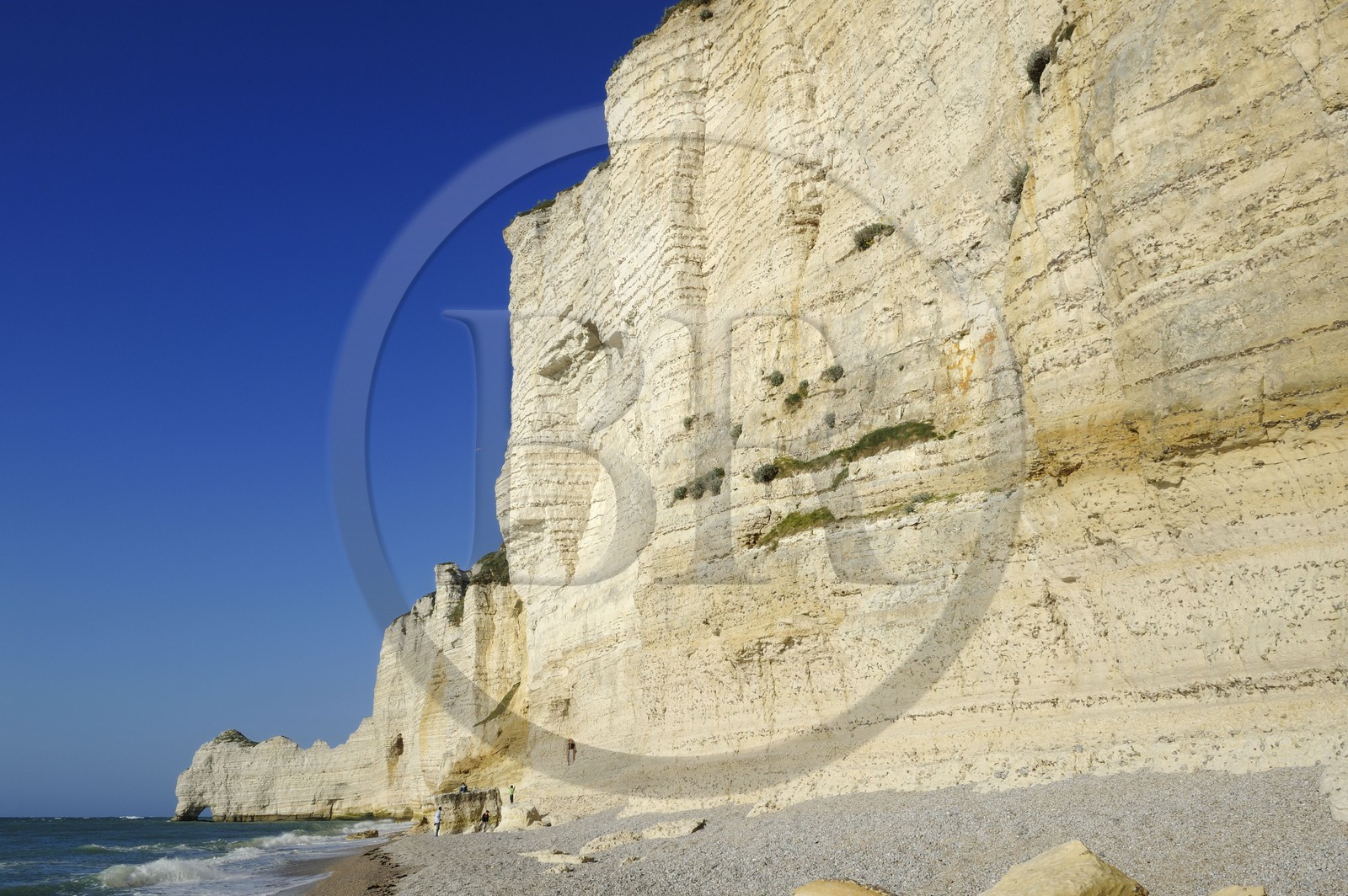 France, Seine-Maritime (76), Pays de Caux, Côte d'Albâtre, Etretat, la falaise d'Amont