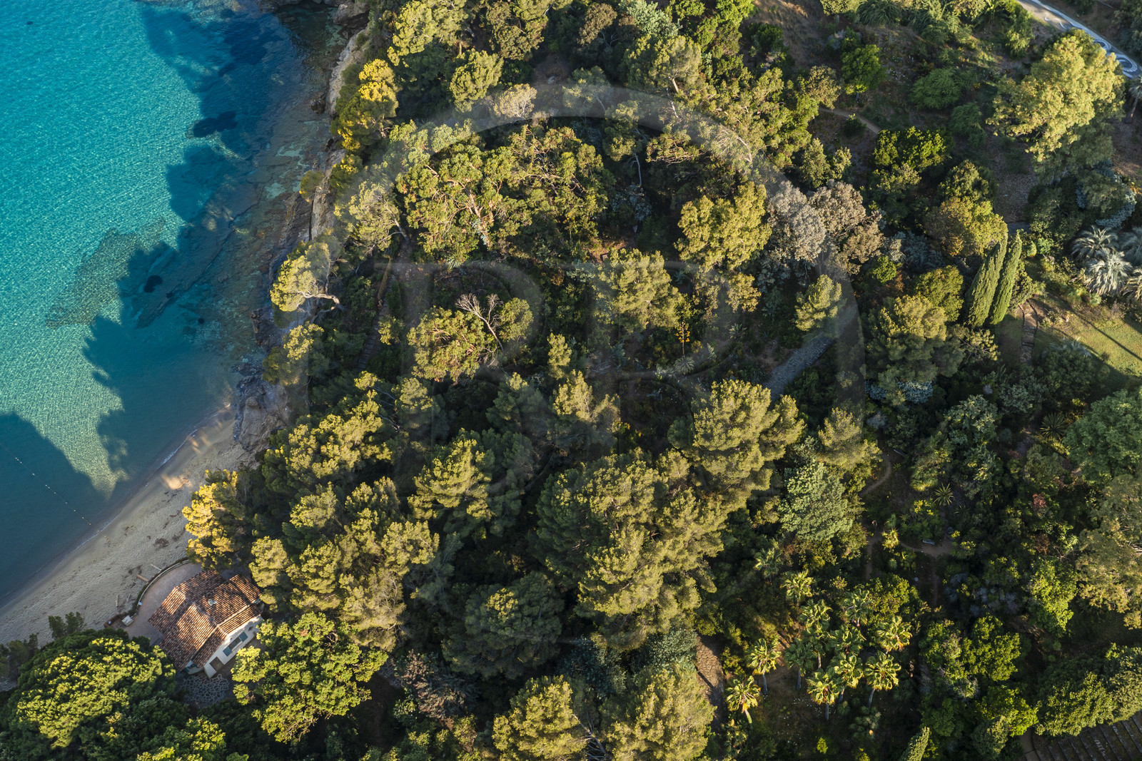 France, Var (83), Rayol-Canadel-sur-Mer, Domaine du Rayol, propriété du conservatoire du littoral mention obligatoire, le jardin des Méditerranées conçu par le paysagiste Gilles Clément (vue aérienne)