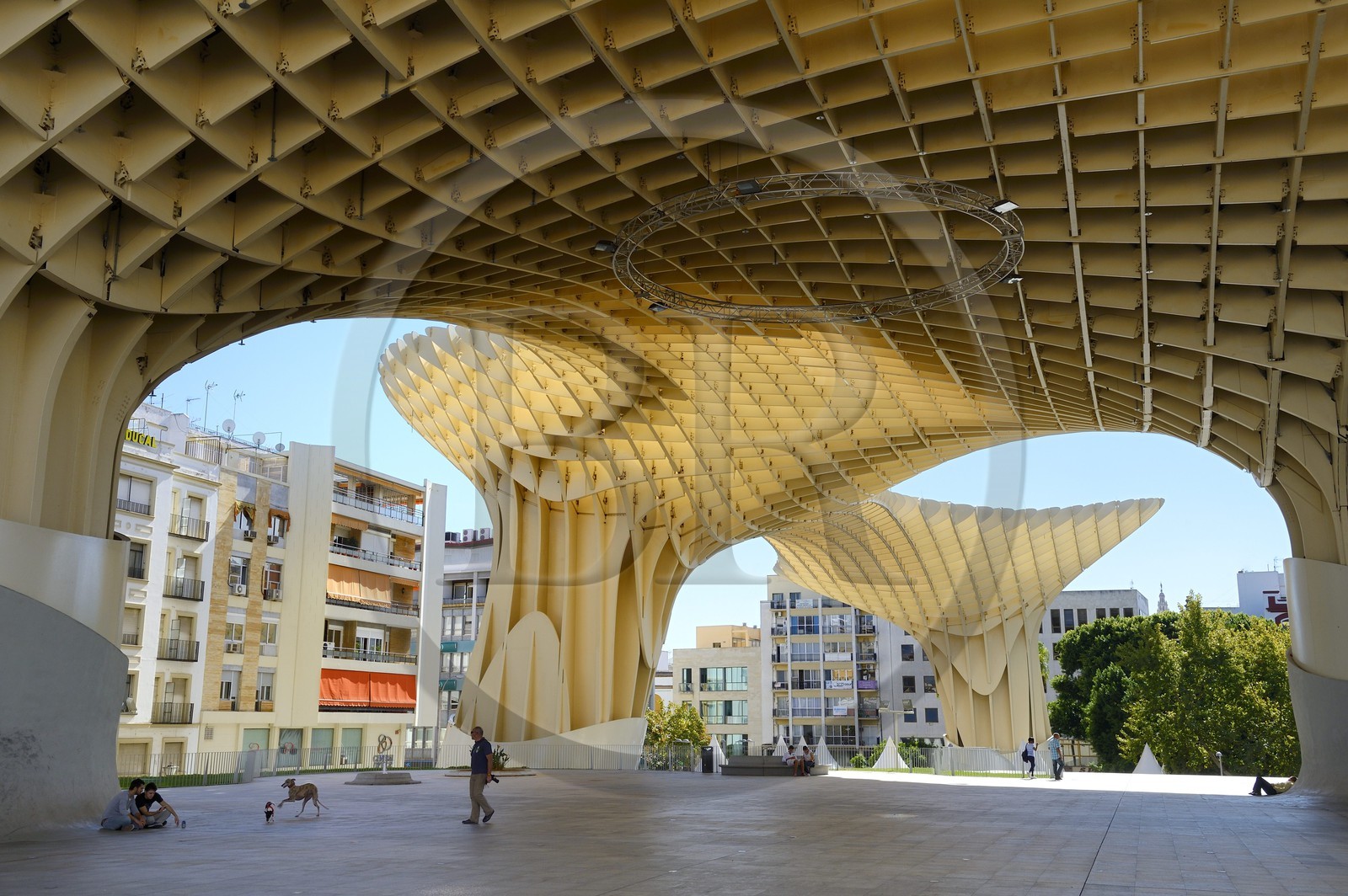 Espagne, Andalousie, Séville, Plaza de la Encarnacion - Plaza Mayor, Metropol Parasol (construit en 2011) par l'architecte  Jurgen Mayer-Hermann