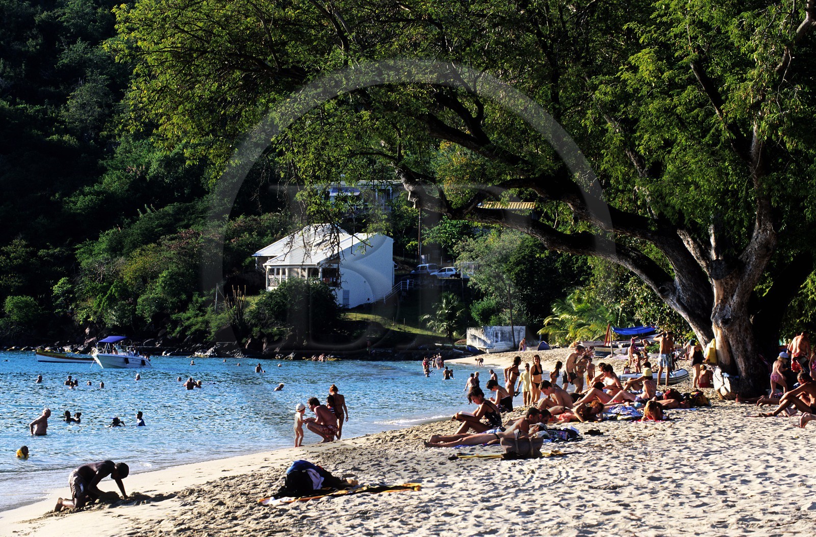 France, Martinique, Les Anses-d'Arlet, plage sur la côte sud-ouest