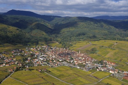 France, Haut-Rhin (68), Riquewihr et son vignoble au pied du massif des Vosges (photo aérienne)