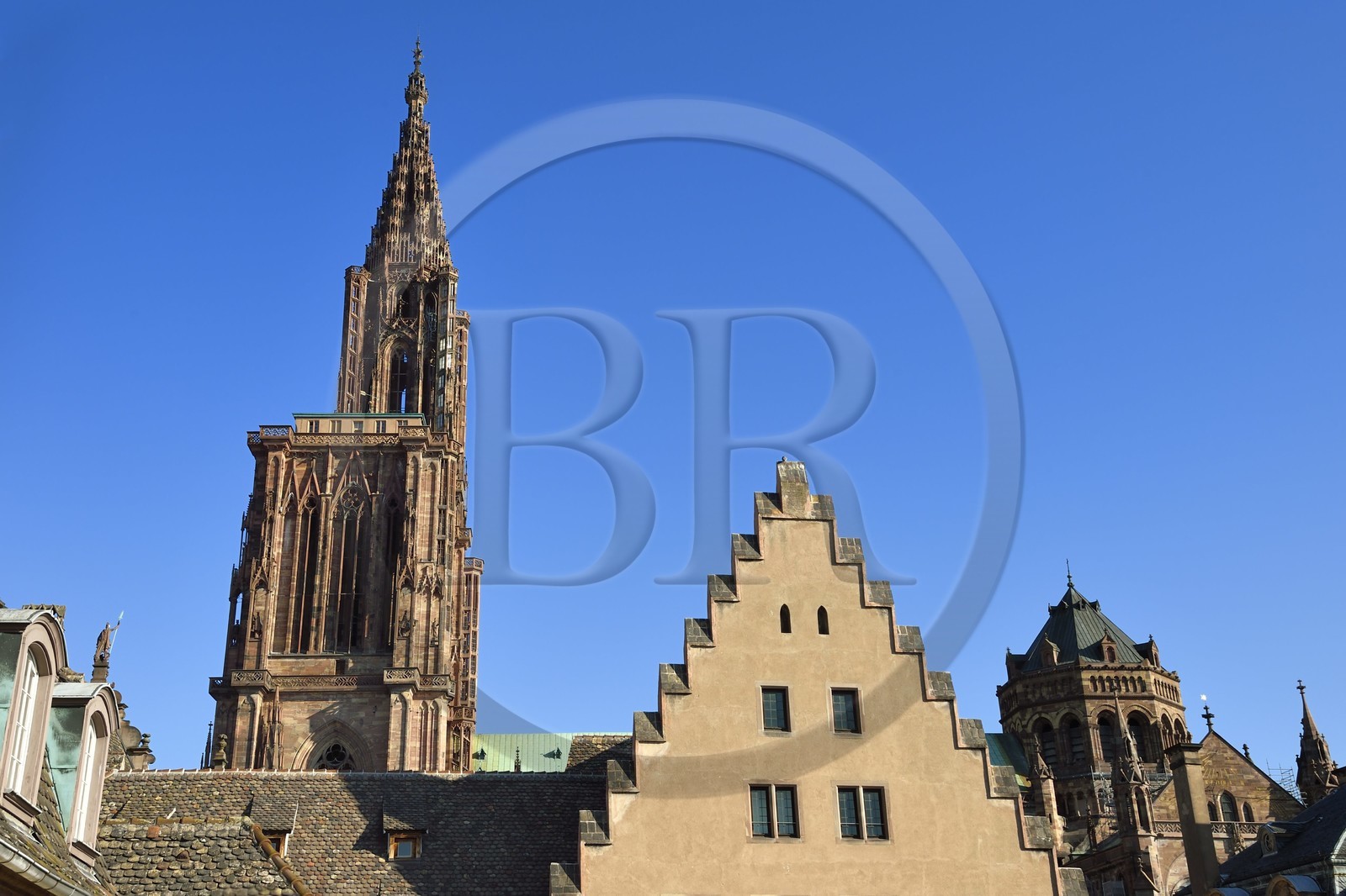 France, Bas-Rhin (67), Strasbourg, vieille ville classée au Patrimoine Mondial de l'UNESCO, la cathédrale Notre-Dame derrière les batiments de la Fondation de l'Oeuvre Notre-Dame avec un pignon à gradins