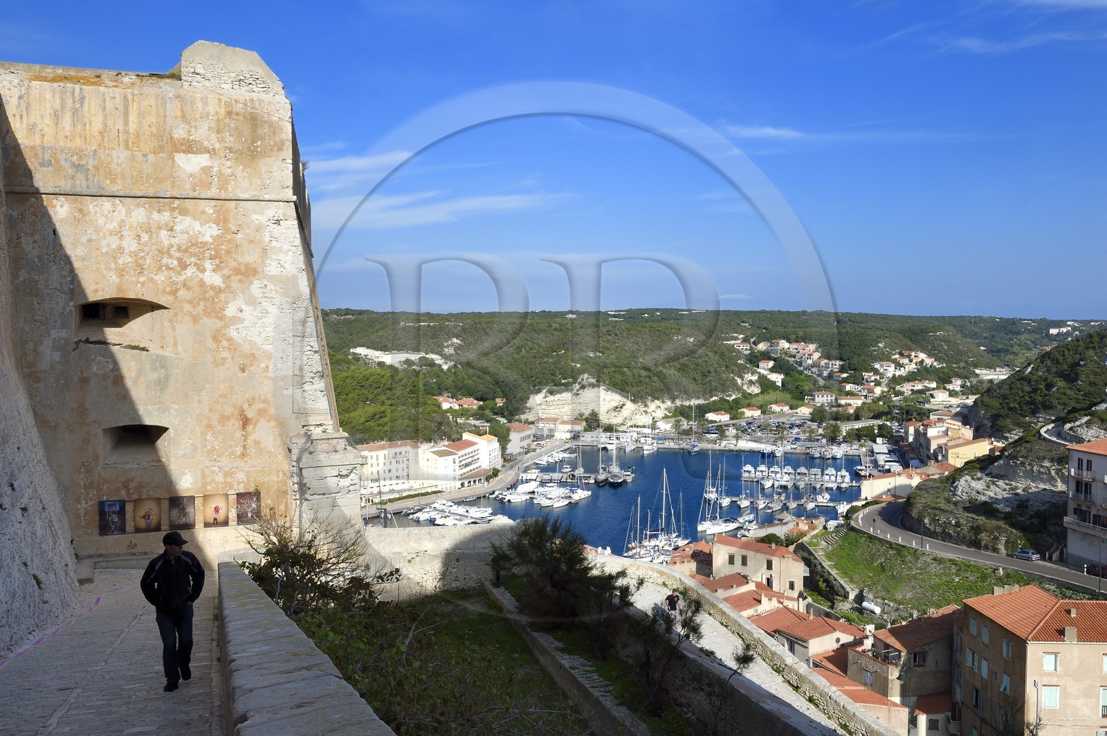 France, Corse-du-Sud (2A), Bonifacio, le port dominé par la citadelle dans la ville haute