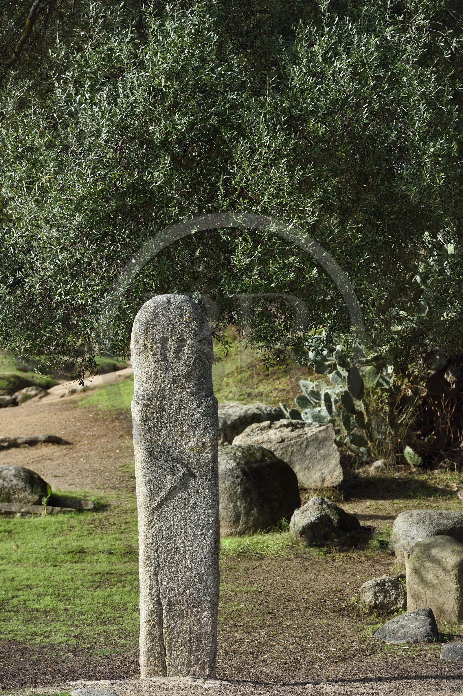 France, Corse du Sud, prehistoric site of Filitosa, menhir statue of armed characters
