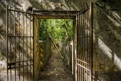 France, Guyane, Kourou, Iles du Salut, l'Ile Saint-Joseph, ruine du bagne consacré à la réclusion des prisonniers les plus difficiles