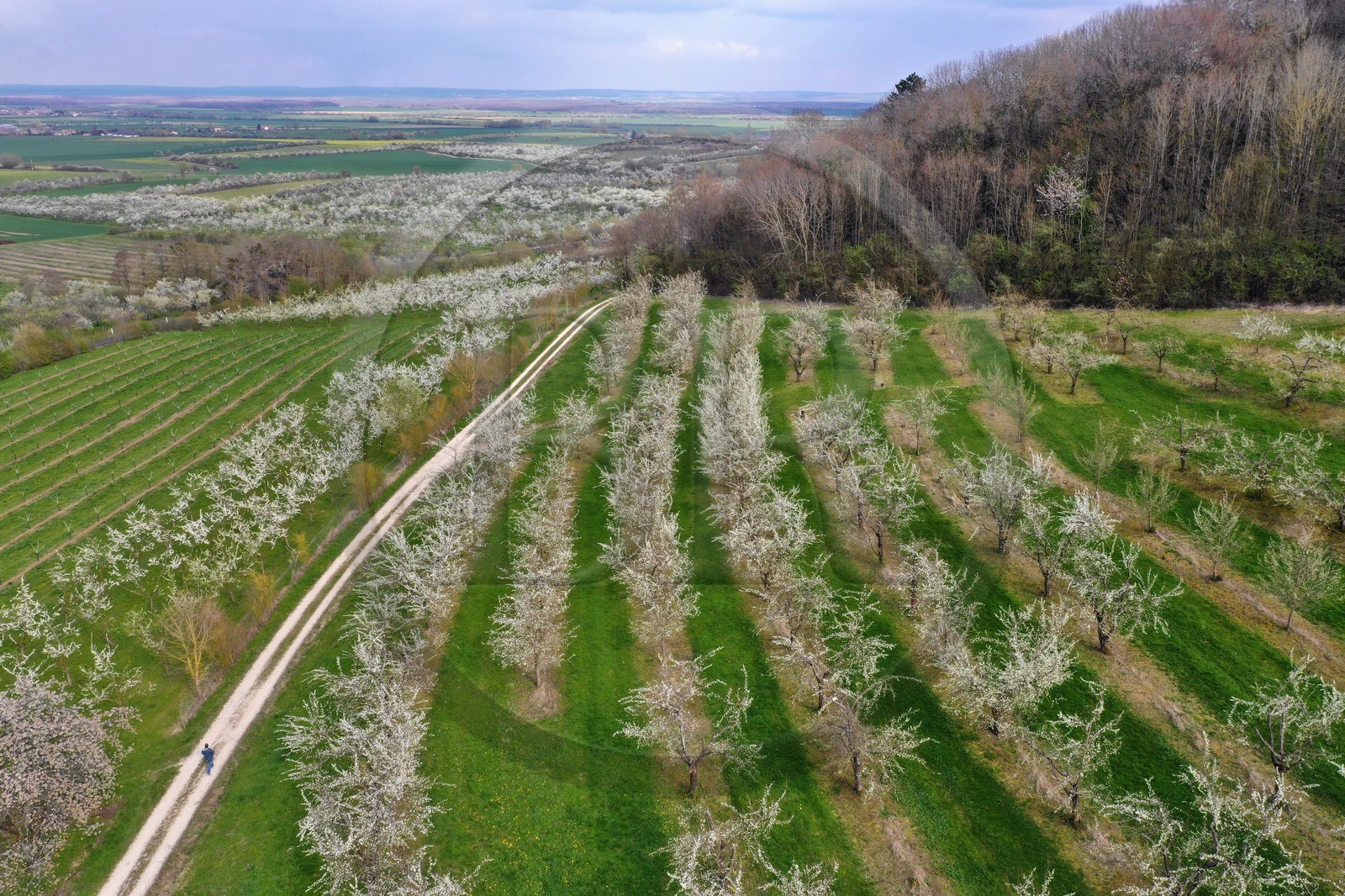 France, Meuse (55), Parc r
