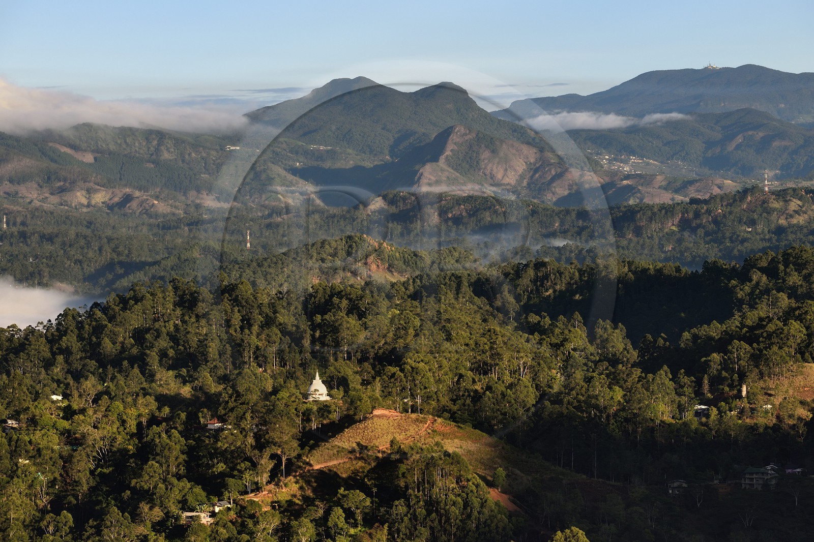 Sri Lanka, Province d'Uva, Haputale, dagoba dans la forêt sur les collines au nord de la ville