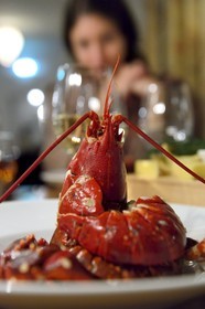 Suède, Västra Götaland, Iles Koster, Ekenäs, l'hotel Ekenäs, plat de homard