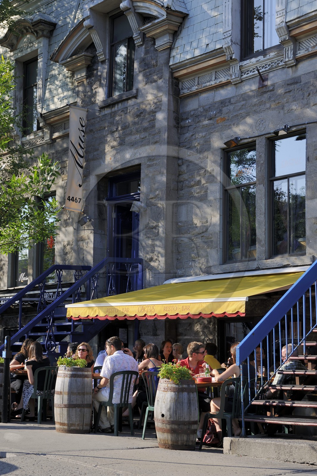 Canada, province de Québec, Montréal, quartier du Plateau Mont Royal