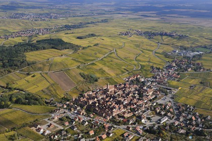 France, Haut-Rhin (68), Riquewihr et son vignoble (photo aérienne)