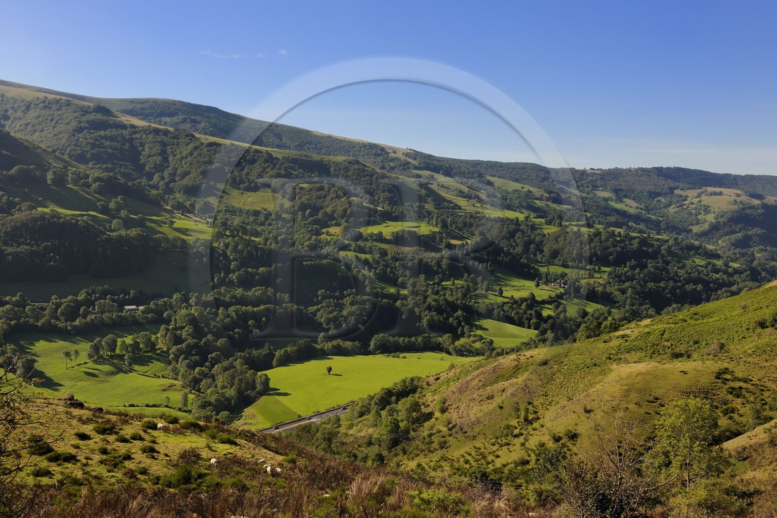 France, Cantal (15), monts du Cantal, Parc Naturel Régional des Volcans d' Auvergne, vallée de la Cère à Saint-Jacques-des-Blats