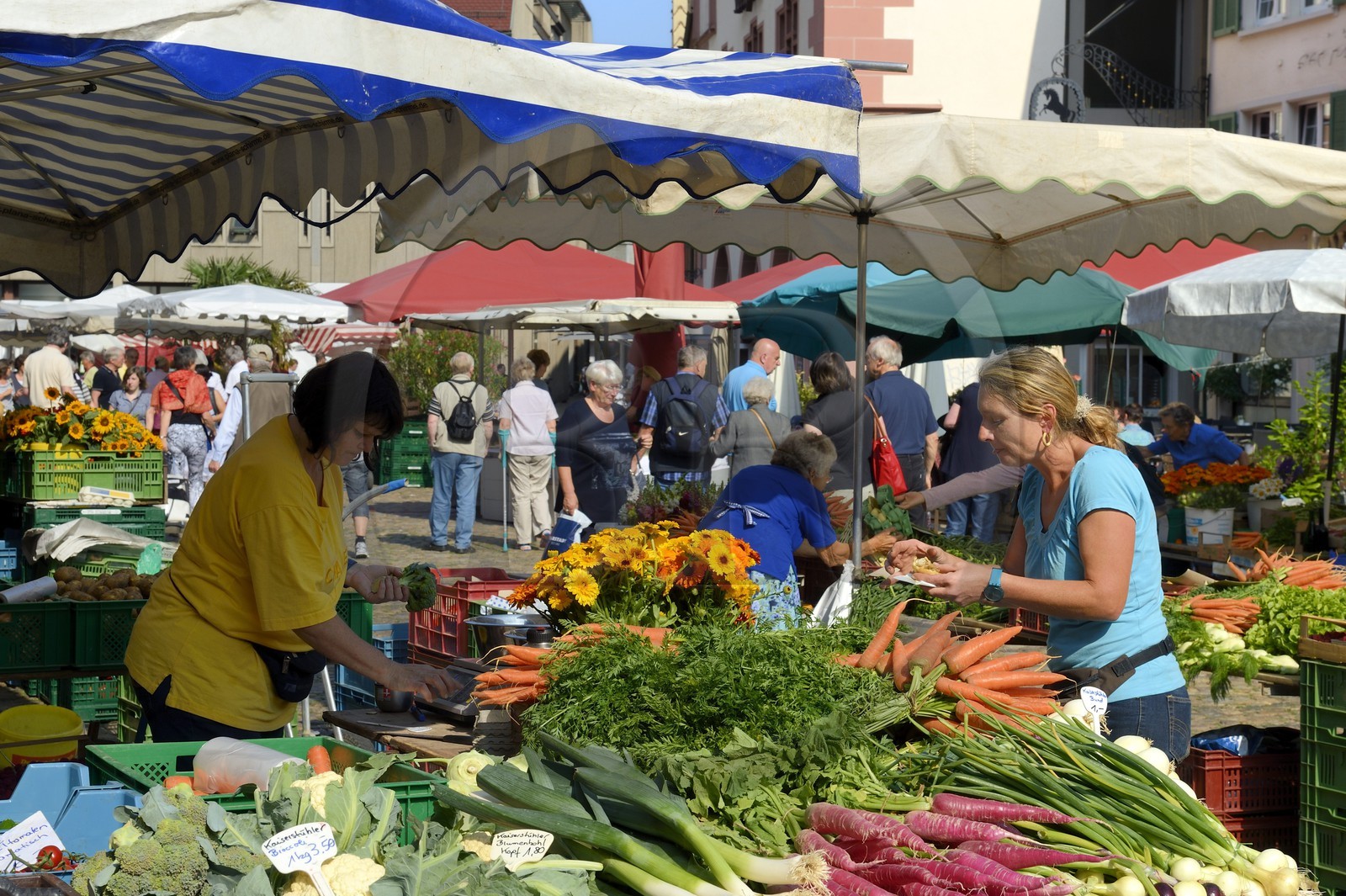 Germany, Baden-Wurttemberg, Freiburg im Breisgau, market day on Munsterplatz