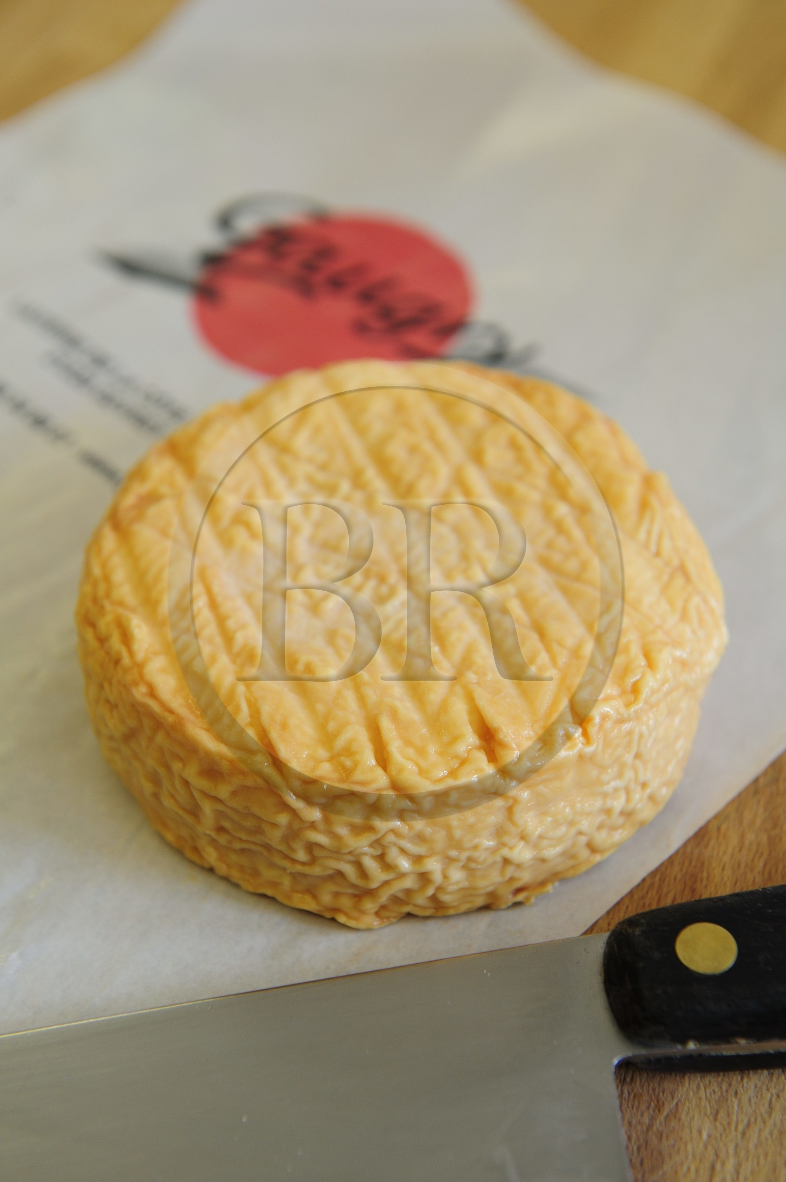 France, Côte d'Or (21), Brochon, entreprise de fromage Gaugry