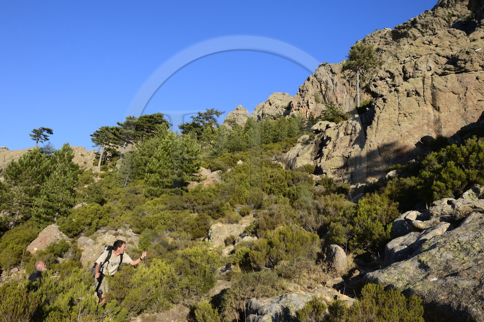 France, Corse-du-Sud (2A), Alta Rocca, Aiguilles de Bavella, randonneurs sur la variante alpine de l'étape du GR 20