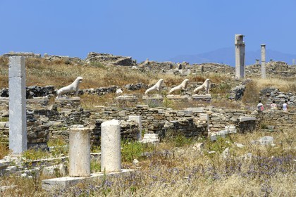 Grèce, île de Delos, classée Patrimoine Mondial de l'UNESCO, site archéologique de Délos, sanctuaire d'Apollon, la plus grande cité antique de la mer Egée, la Terrasse des Lions