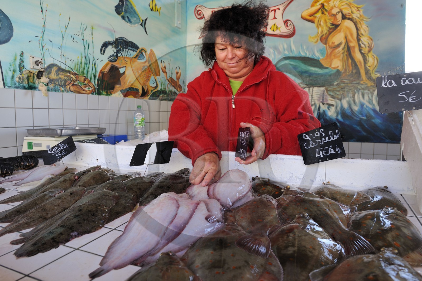 France, Seine-Maritime (76), Le Havre, port de pêche, marché aux poissons pratiquant la vente directe