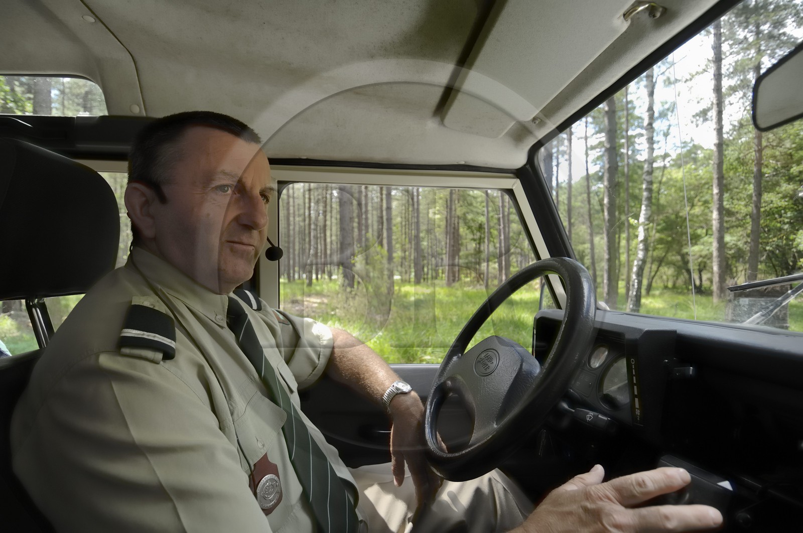 France, Loire et Cher, domaine du château de Chambord, visite guidée en 4x4 par François Coutant de l' ONF