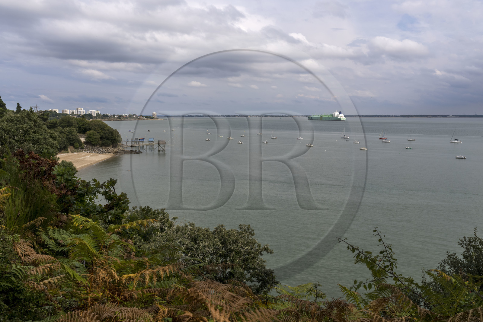 France, Loire-Atlantique (44), Estuaire de la Loire, Saint-Nazaire, plage de Trébézy en bordure du chemin de Grande Randonnée GR 34 et cargo passant au large
