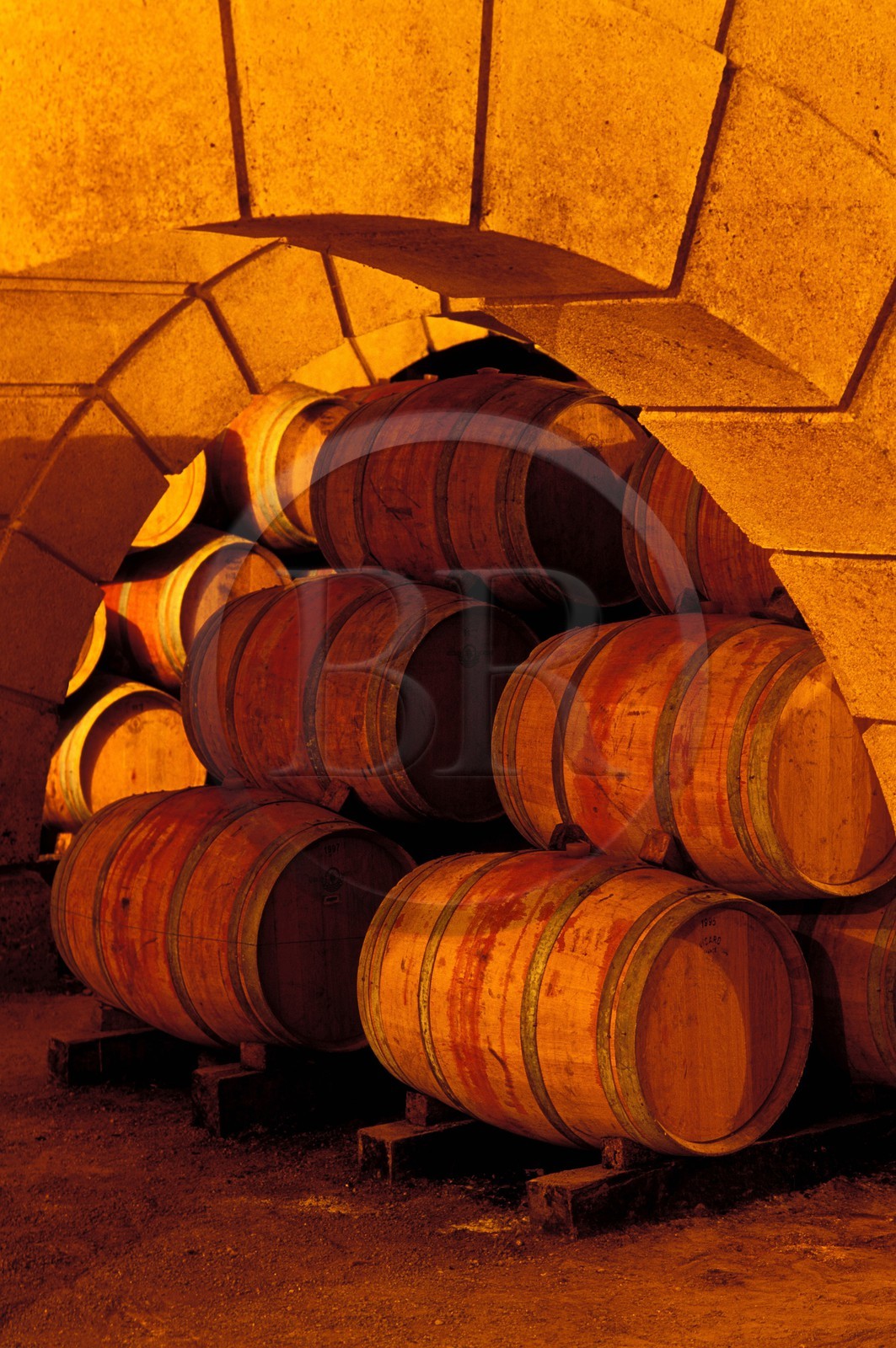 France, Gers (32), Maumusson-Laguian, cave du domaine de Boucassé, le plus vaste chais d'Europe