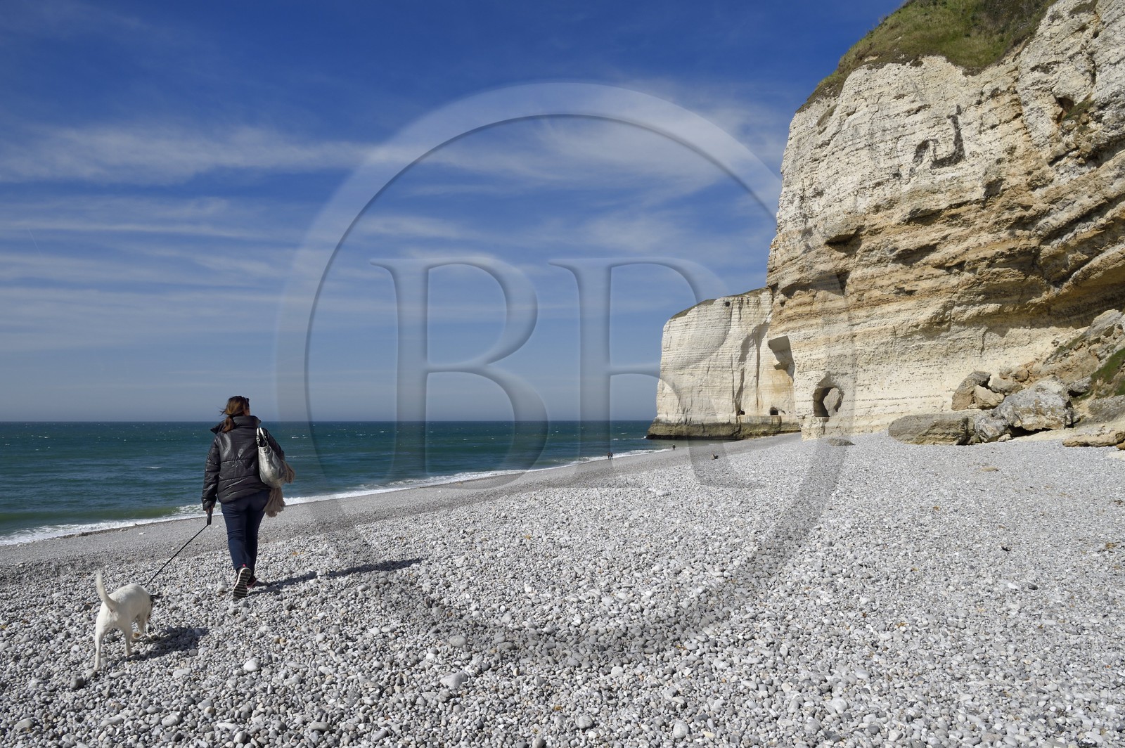 France, Seine-Maritime (76), Pays de Caux, Côte d'Albâtre, Etretat, Pointe de la Courtine, plage d'Antifer à marée basse