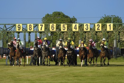 Irlande, Co. Meath, hippodrome de Fairyhouse, départ de la course