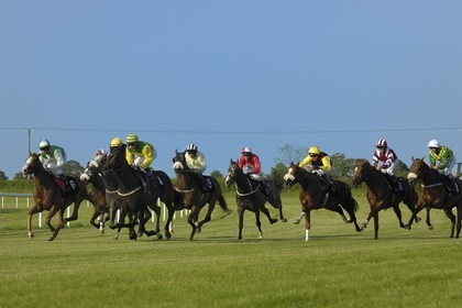 Irlande, Co. Meath, hippodrome de Fairyhouse, course de chevaux