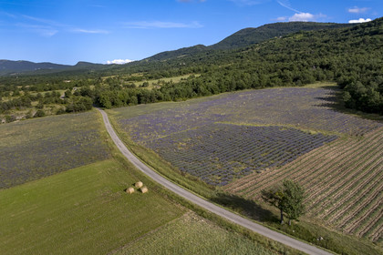 France, Drôme (26), parc naturel régional des Baronnies provençales, Saint-Auban-sur-l'Ouvèze, la vallée de l'Ouvèze (vue aérienne)