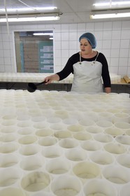 France, Orne (61), Pays d'Auge, village de Camembert, Ferme de la Héronnière, AOC Camembert au lait cru, camembert fermier moulé à la louche