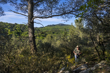 France, Vaucluse, Dentelles de Montmirail mountains, Crestet, hiker on the GR de Pays towards the Croix de Verrière and the Saint-Amand ridge seen from the south in the background