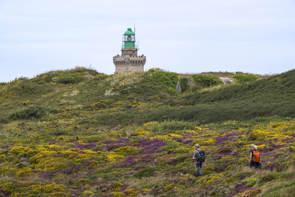 France, Cotes d'Armor, Grand Site de France Cap d'Erquy – Cap Frehel, Plevenon, hikers on the GR34 hiking trail or coastal trail and  the Cap Fréhel lighthouse in the background