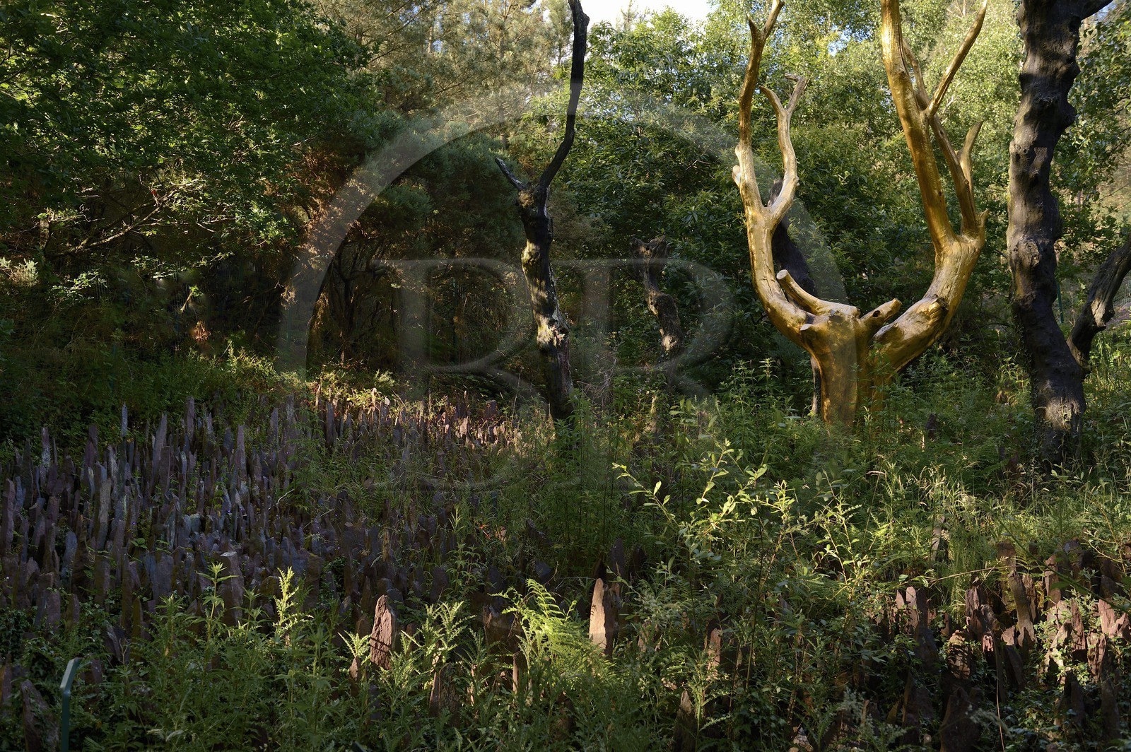 France, Morbihan (56), forêt de Brocéliande, Tréhorenteuc, sculpture L'Arbre d'Or de l'artiste François Davin dans le Val sans retour