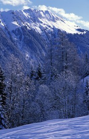 Suisse, région de Bern (Oberland Bernois), Saanenland, la montagne à Gstaad