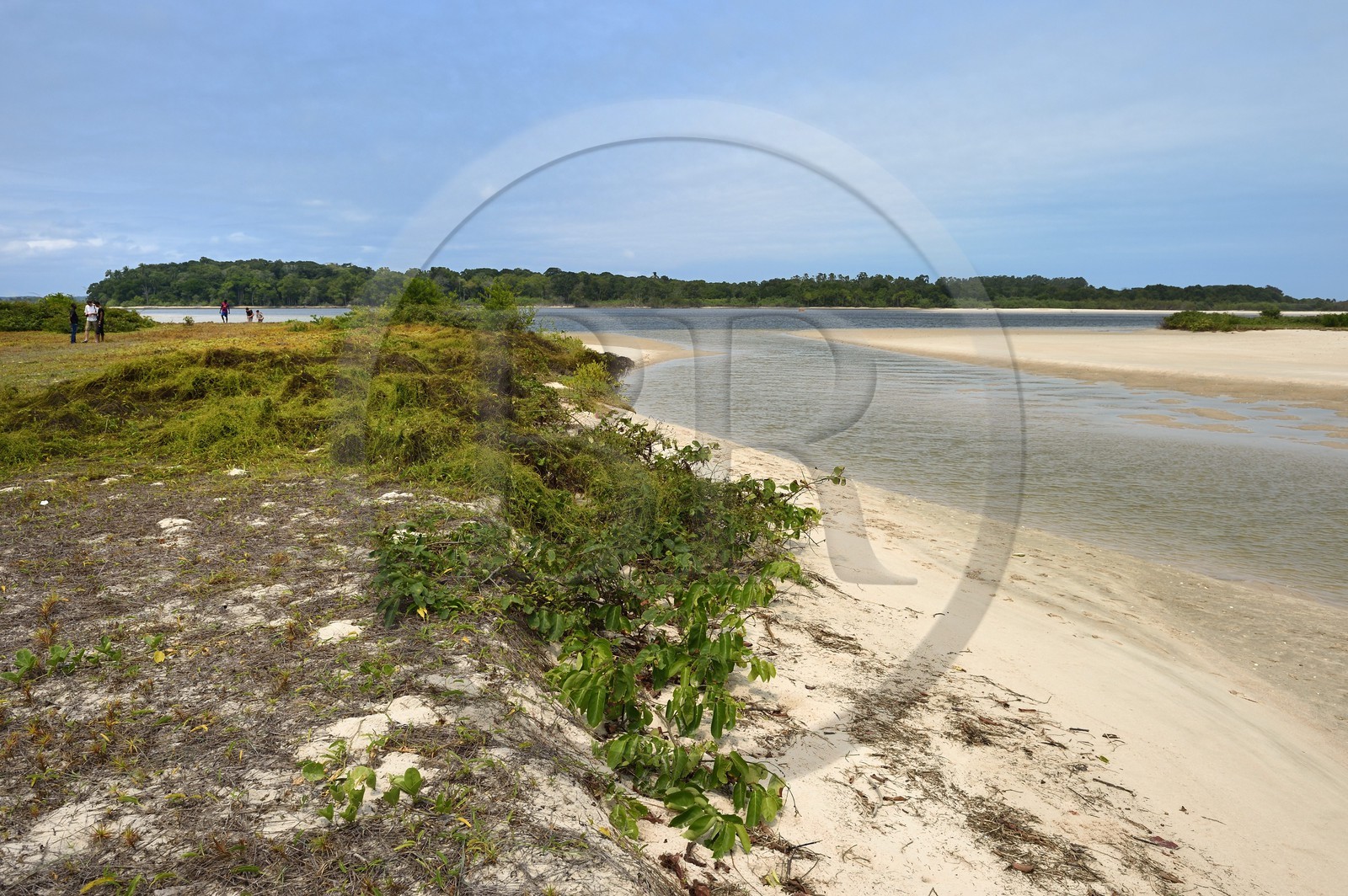 Gabon, province de Ogooué- Maritime, Parc National du Loango, embouchure de la lagune Iguéla