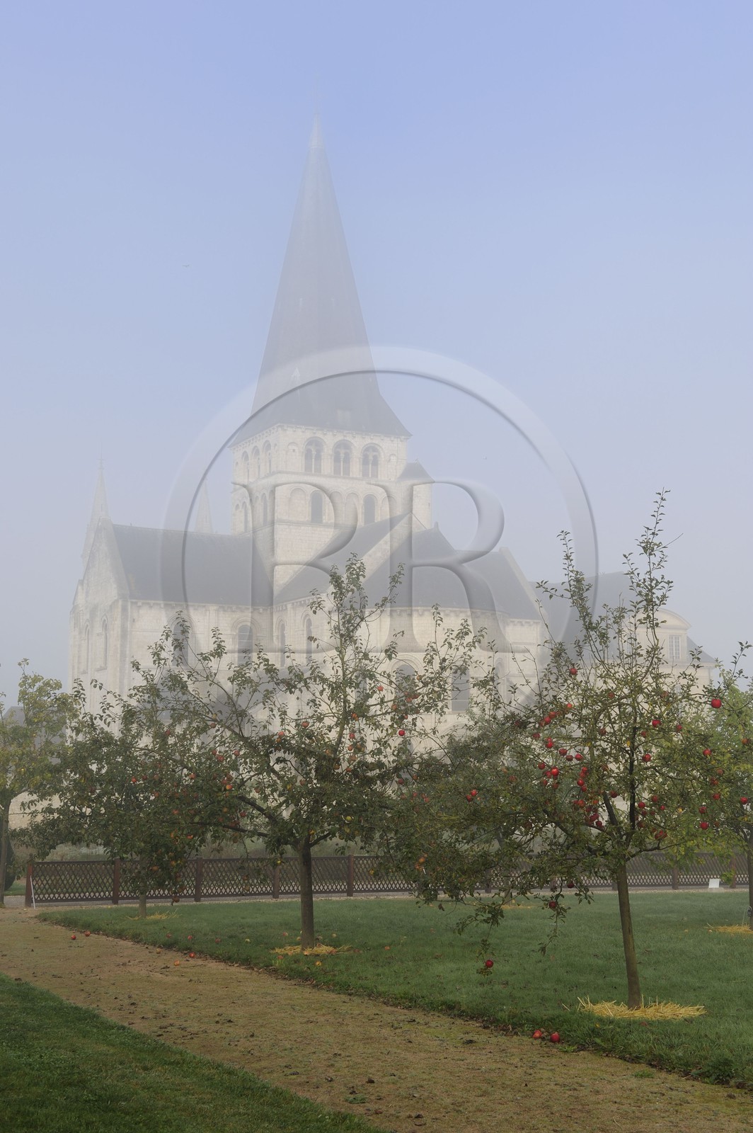 France, Seine-Maritime (76), Saint-Martin-de-Boscherville, Abbaye Saint-Georges de Boscherville du XIIe siècle et les jardins