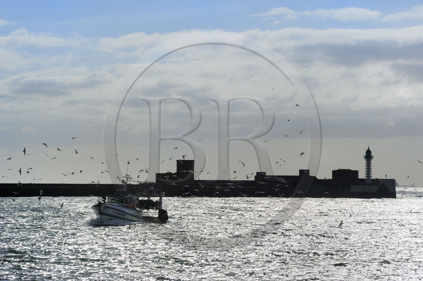 France, Seine-Maritime (76), Le Havre, bateau de pêche entrant au port suivi par une nuée de goélands