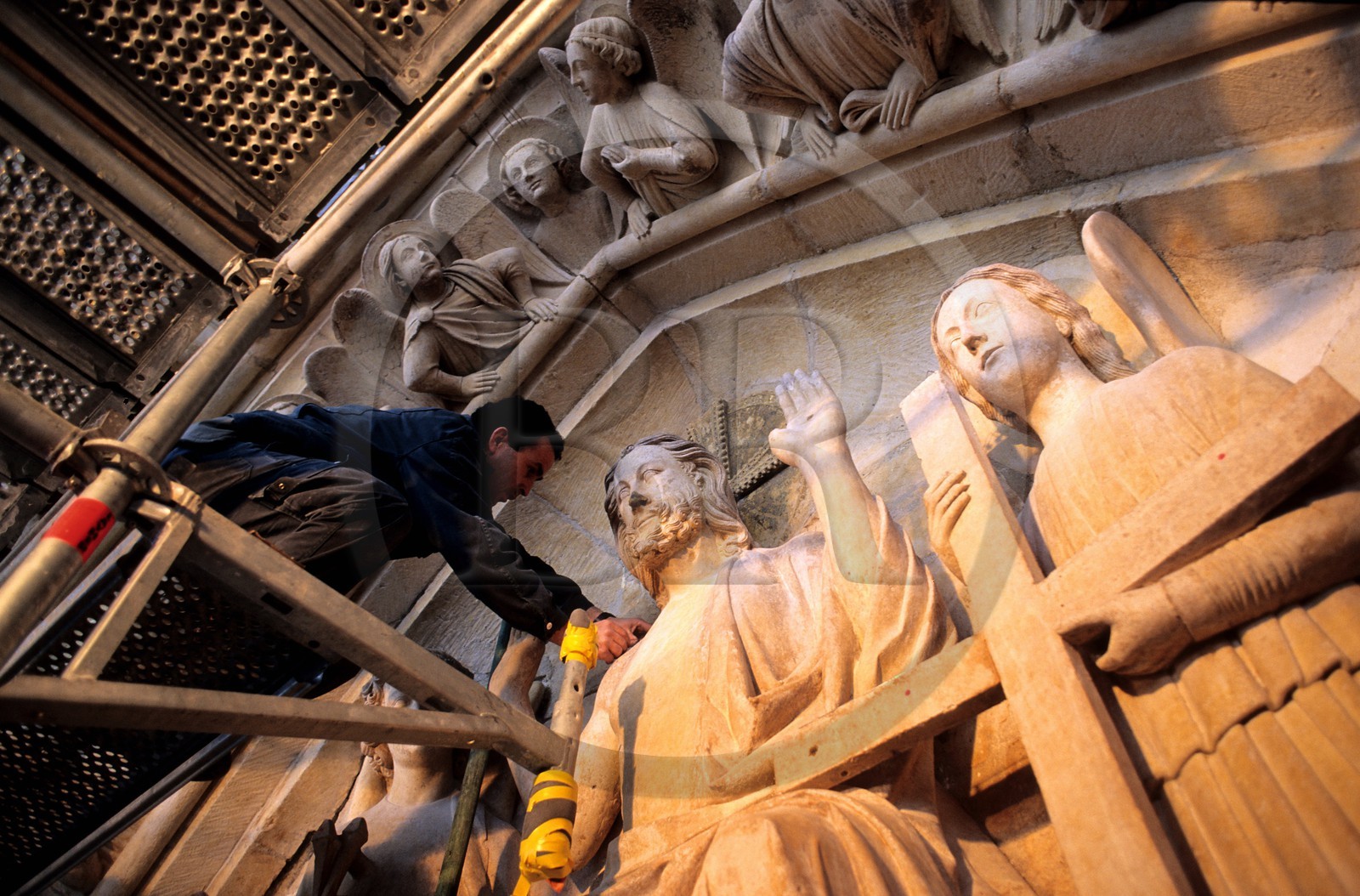 France, Paris (75), la cathédrale Notre-Dame, installation de système électrique anti-pigeons sur les statues (société Sertep)