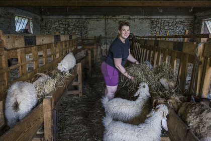 France, Drôme (26), parc naturel régional des Baronnies provençales, Saint-Sauveur-Gouvernet, ferme Mohair du Moulin dans la vallée de l’Ennuye, Isabelle Aubert dans la bergerie de son élevage de chèvres angora