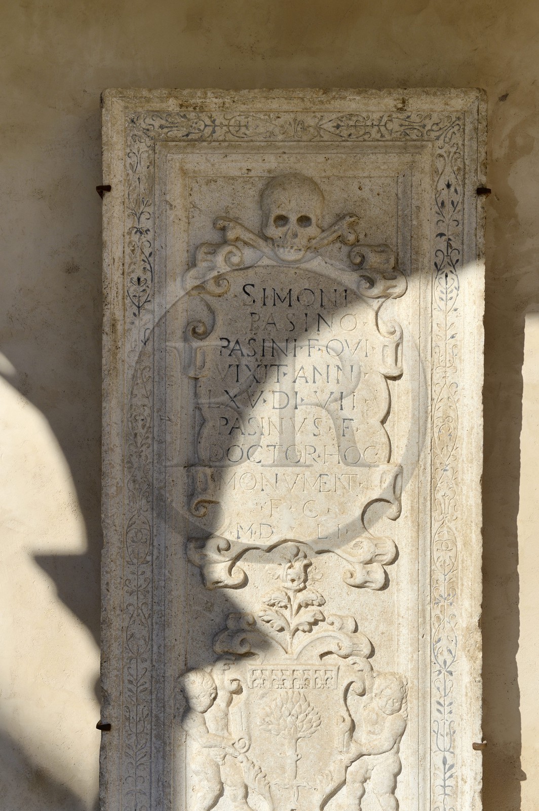 Croatie, Dalmatie, côte dalmate, Zadar, église et couvent Saint-François, pierre tombale dans le cloitre