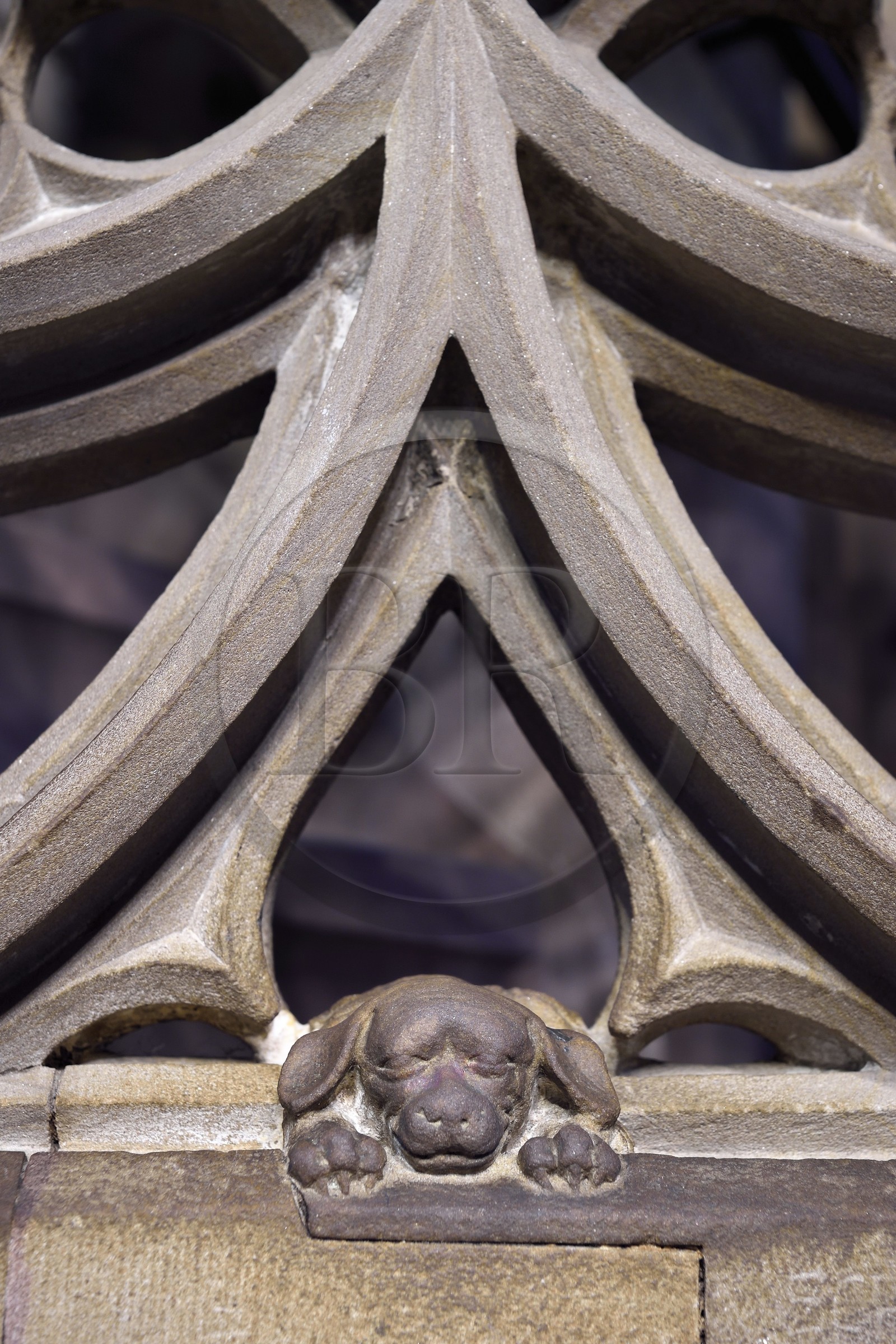 France, Bas Rhin, Strasbourg, old town listed as World Heritage by UNESCO, Notre Dame Cathedral, the pulpit of the great preacher Geiler of Kaysersberg by sculptor Hans Hammer in 1485, sculpture of Geiler's little dog may be an allusion to the Dominican preacher (domini canis or the Lord's dog) and to faithfulness