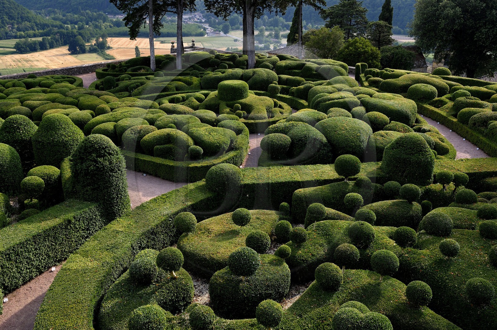 France, Dordogne (24), Périgord Noir, vallée de la Dordogne, Vézac, les jardins du château de Marqueyssac du XVIIIe siècle, jardins de buis en terrasse inspirés par André Le Nôtre