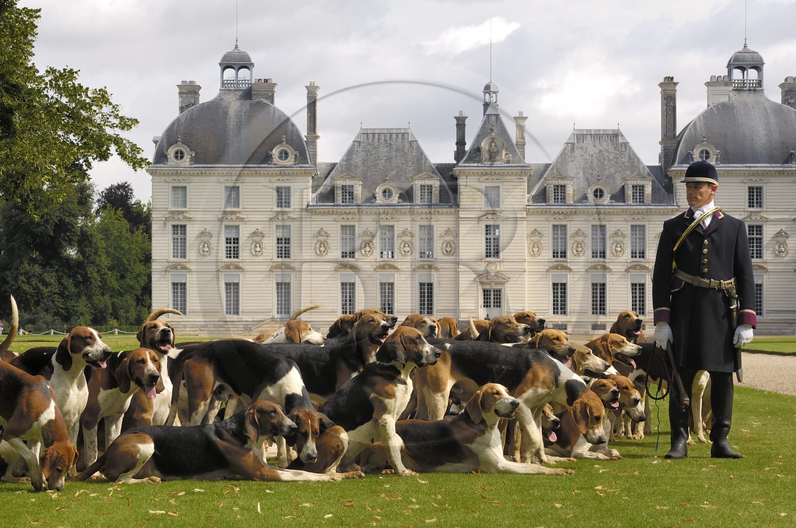France, Loir-et-Cher (41), château de Cheverny, le premier piqueux Vol au Vent qui cogère la meute de 90 chiens de chasse à cour