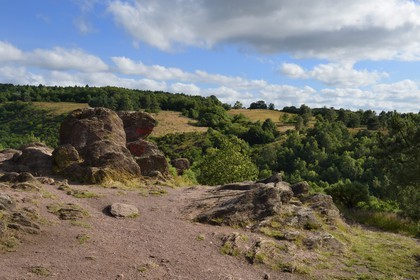 France, Morbihan (56), forêt de Brocéliande, Tréhorenteuc, la lande du Val sans retour