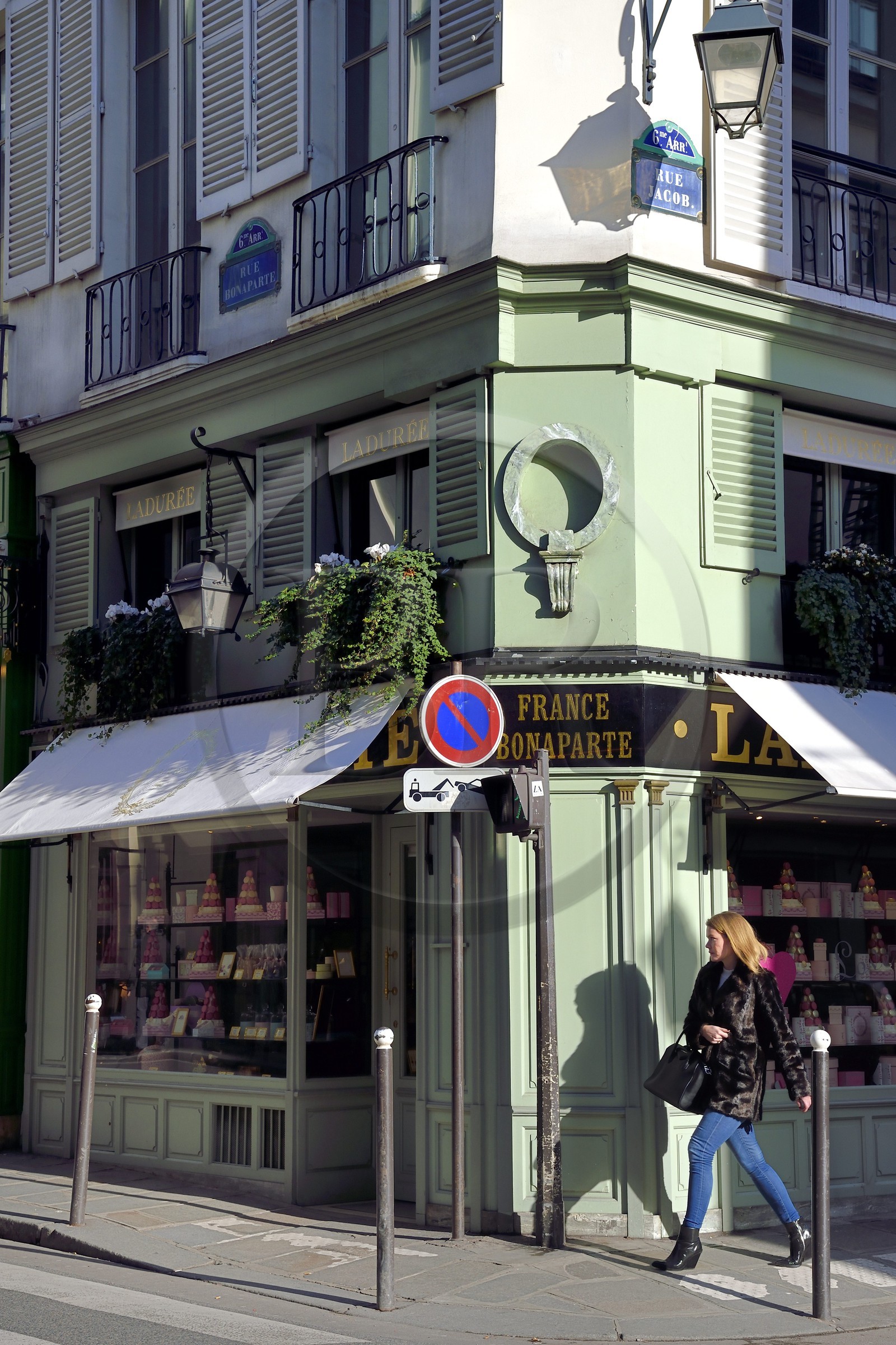 France, Paris (75), Patisserie Ladurée au 21 rue Bonaparte