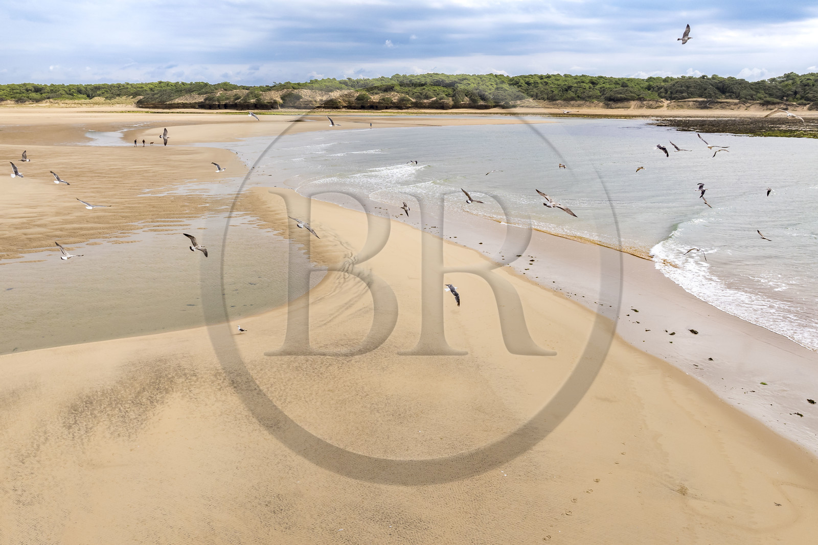 France, Vendée (85), Talmont-Saint-Hilaire, la Pointe du Payré, promeneurs et mouettes sur la plage du Veillon et estuaire de la rivière Payré (vue aérienne)