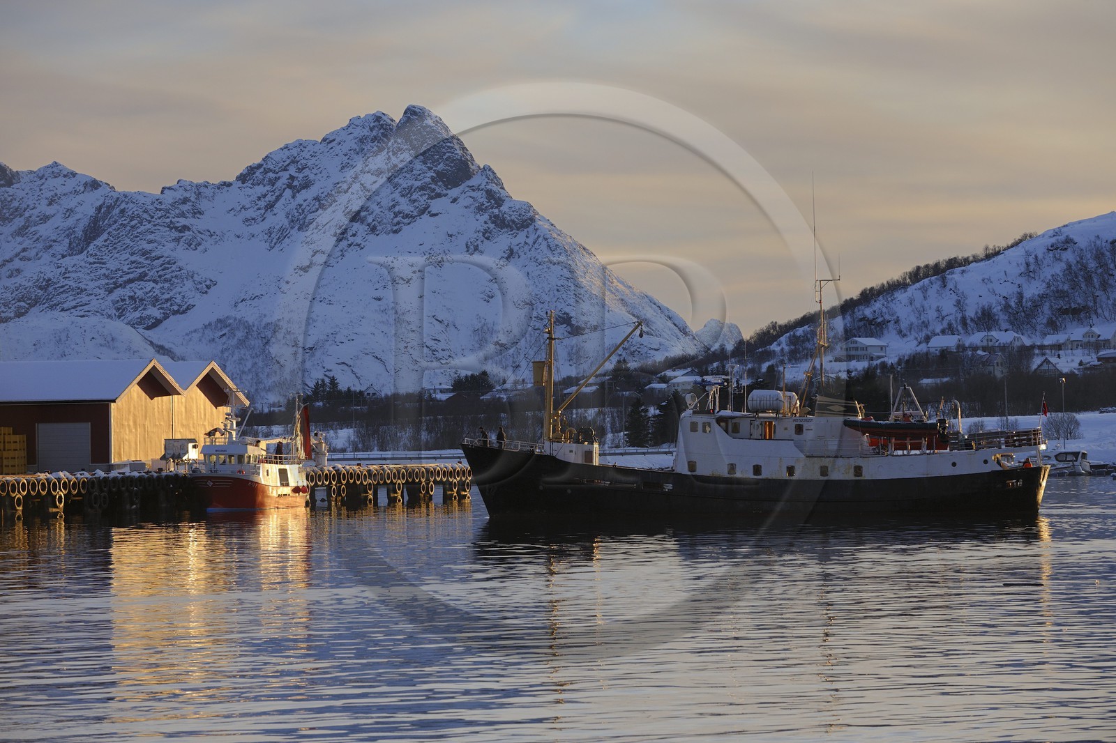 Norvège, Nordland, iles des Westeralen, port de Myre, le bateau Leonora pour l'observation des baleines