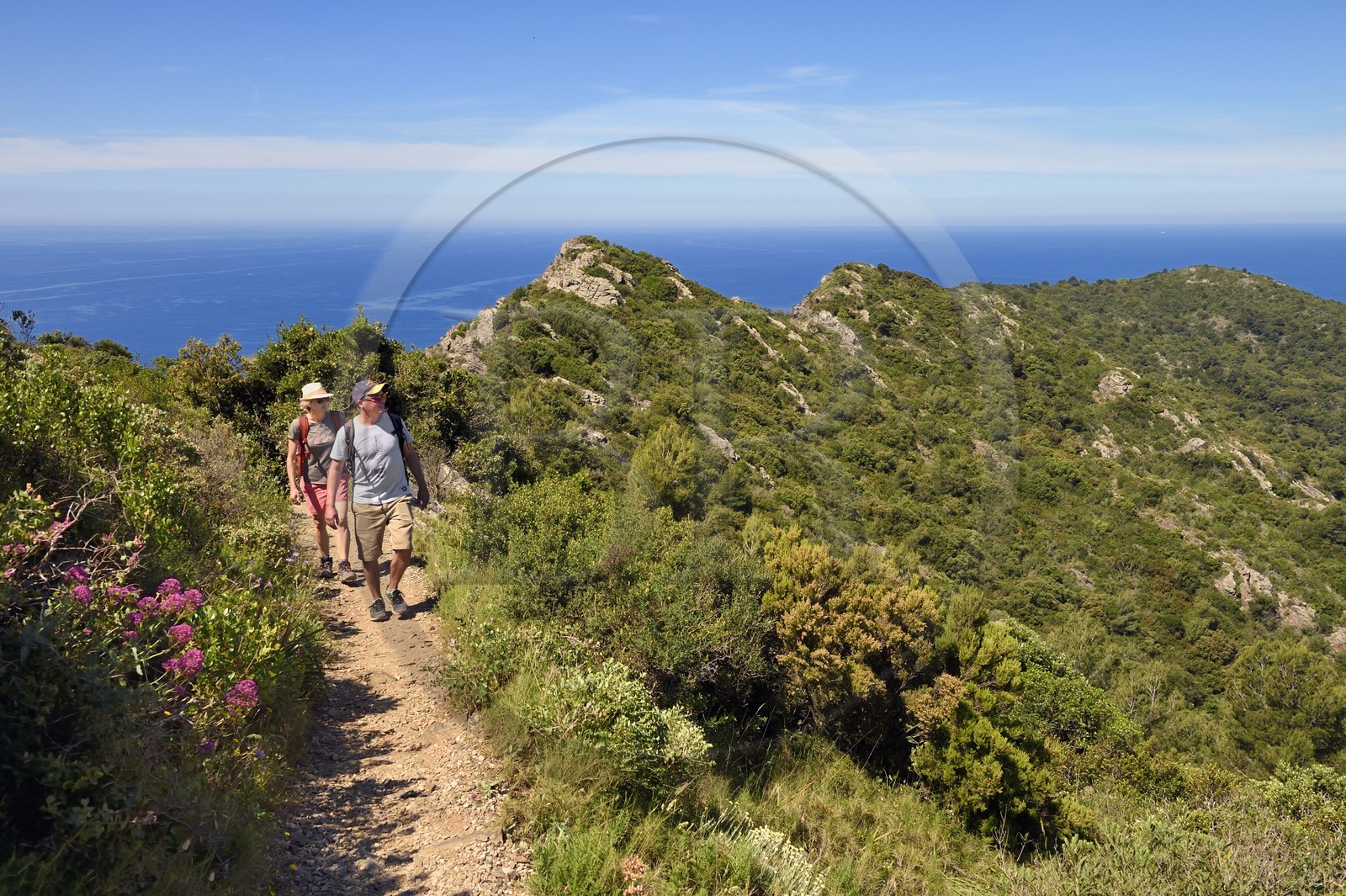 France, Var (83), Six-Fours-les-Plages, randonnée dans le massif du Cap Sicié, randonneurs sur le sentier des cretes de Roumagnan